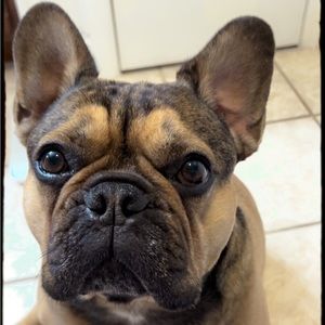 Meet your Posher, Angela